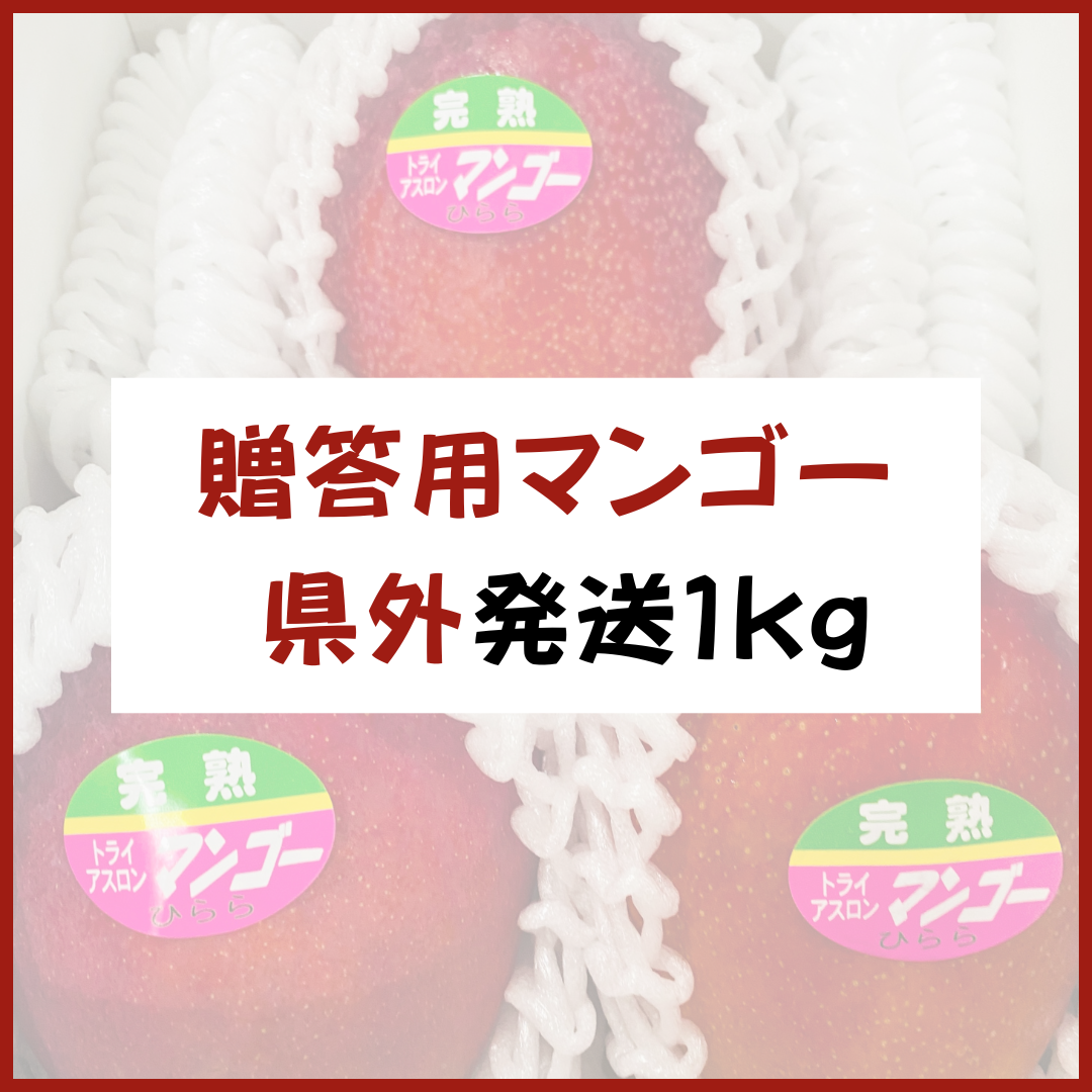 宮古島産【贈答用マンゴー】1kg 県外発送 | 大野果樹園／宮古島